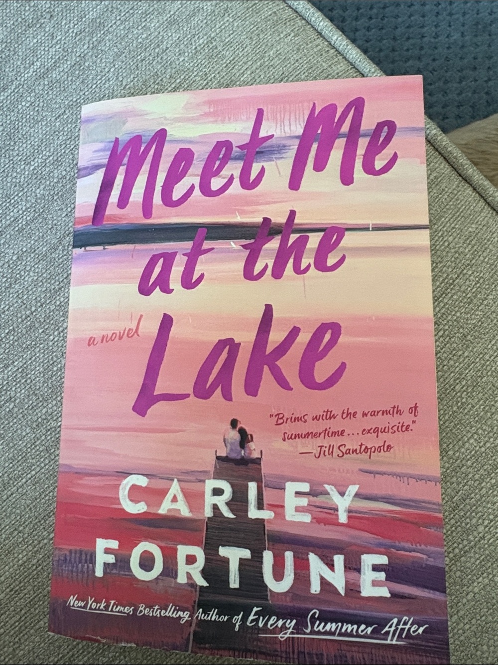 "Meet Me at the Lake" book by Carley Fortune